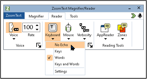 The Reader tab with the Keyboard echo menu open and the pointer on No Echo. Words is currently checked.