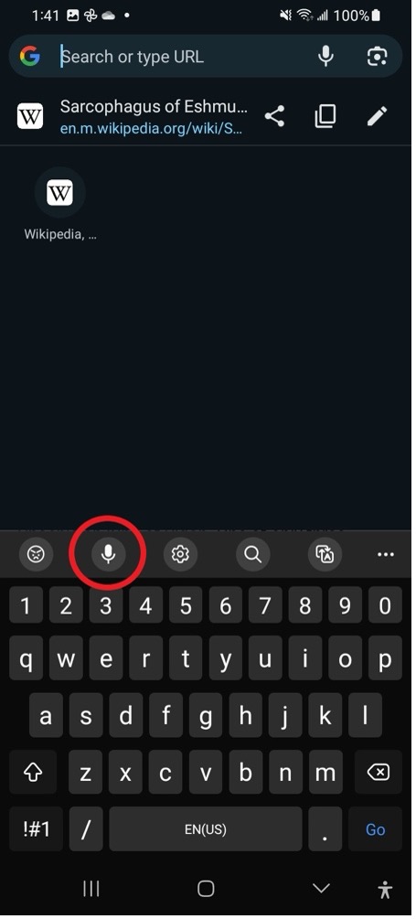 An Android keyboard with the microphone button circled in the toolbar above the keys.